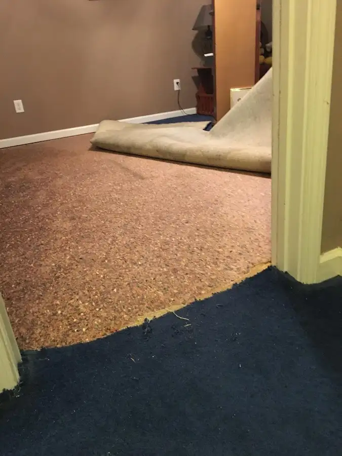 Carpet pad removal revealing water damage during Drying & Dehumidification in Bryn Mawr-Skyway