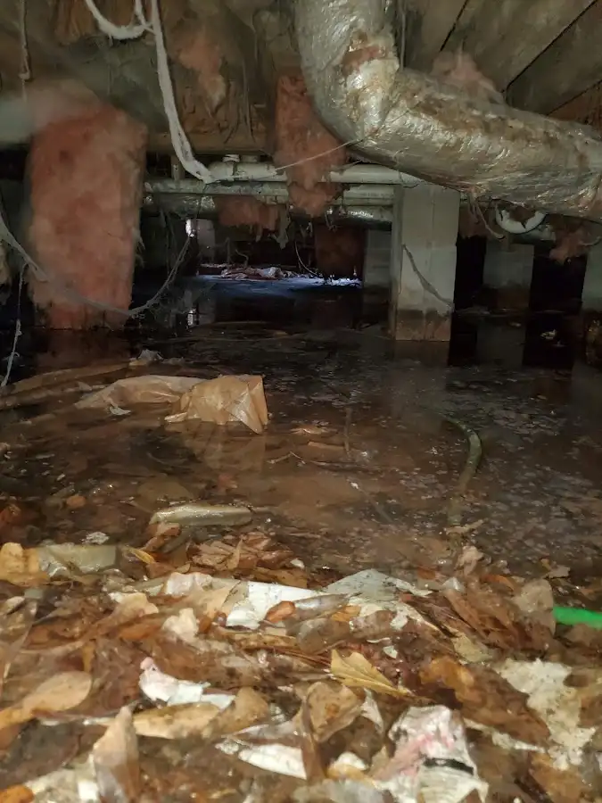 Crawl space flood assessment for Commercial Water Damage Restoration in Bryn Mawr-Skyway