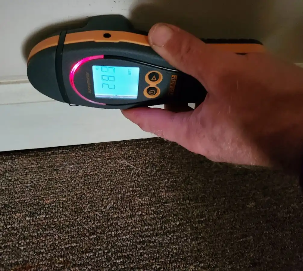 Moisture detection at baseboard during Sewage Cleanup & Sanitation in Bryn Mawr-Skyway