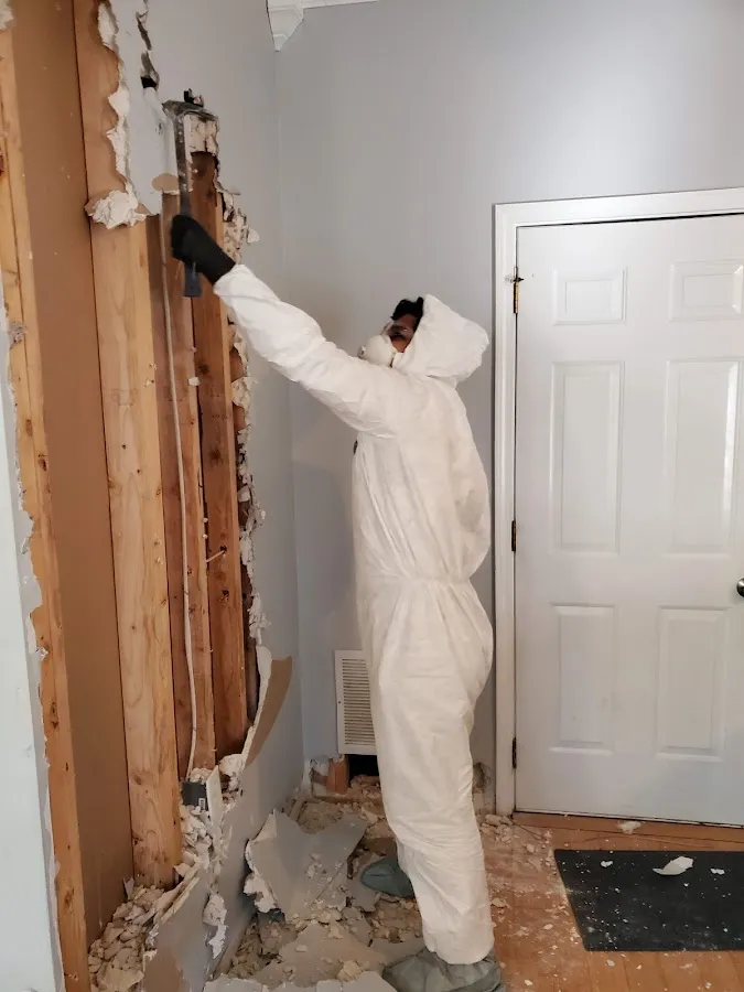 Water Damage Restoration services in Bryn Mawr-Skyway, WA